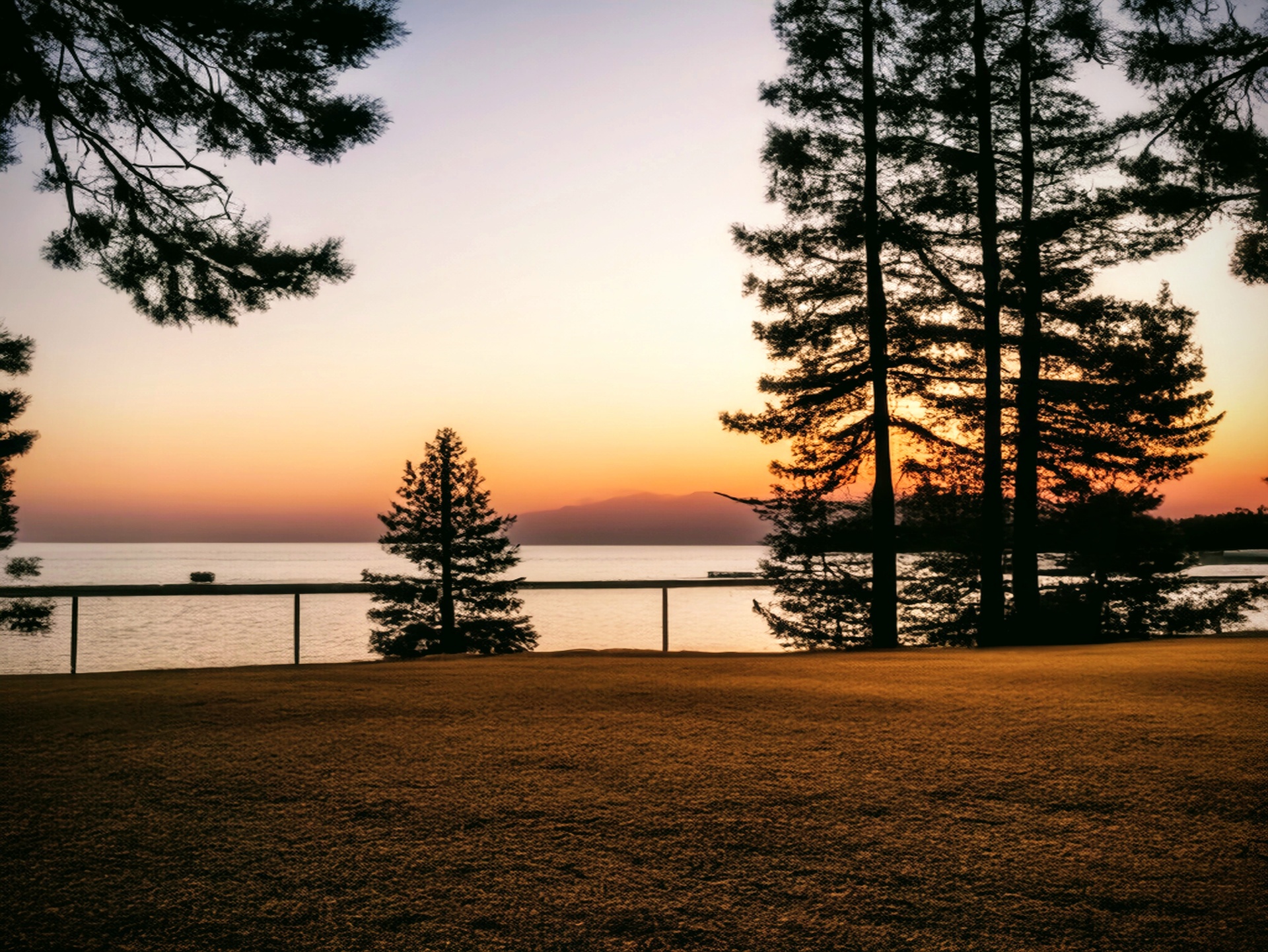 Golden sunset over the water framed by tall pines in the Clark Fork Valley